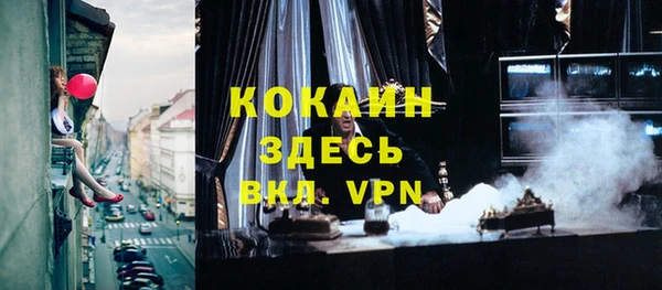 прущие грибы Абаза