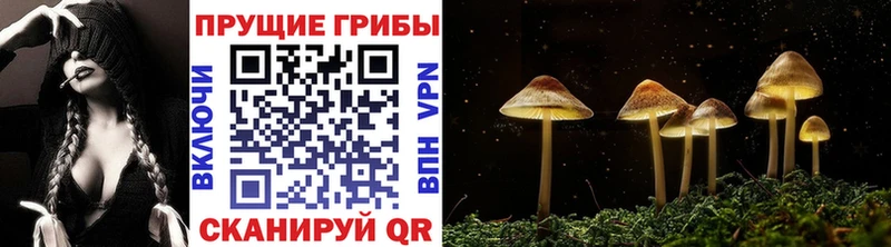 где найти   Плавск  Галлюциногенные грибы мухоморы 